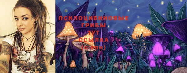 герыч Алзамай
