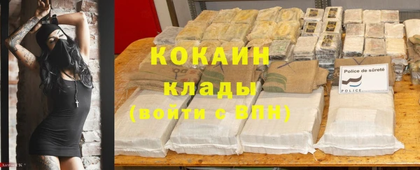 mdpv Олёкминск