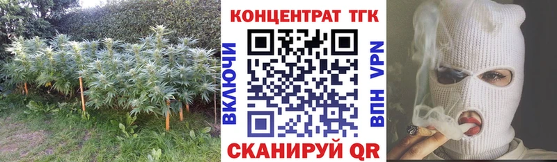 ТГК Wax  Псков 