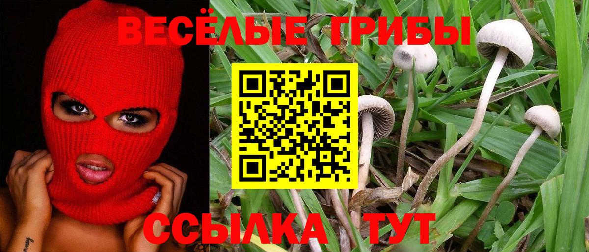 Псков  Псилоцибиновые грибы Psilocybine cubensis  Вход с VPN  Галлюциногенные грибы Cubensis 