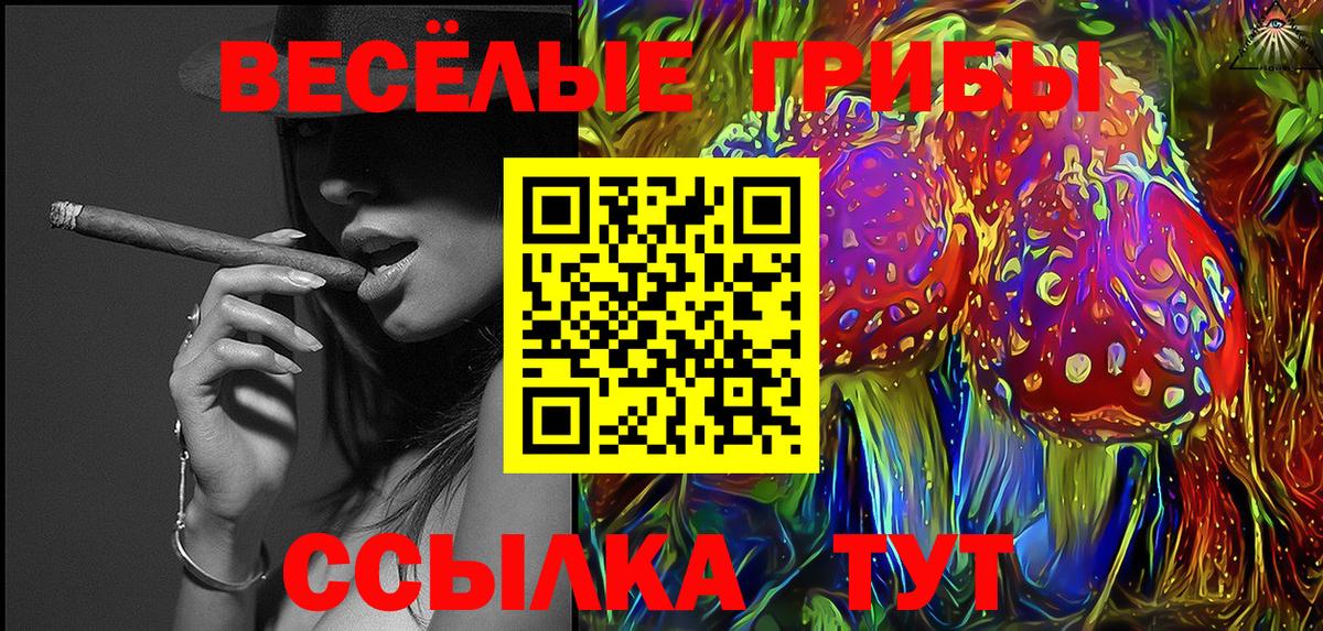 Псилоцибиновые грибы мицелий Псков